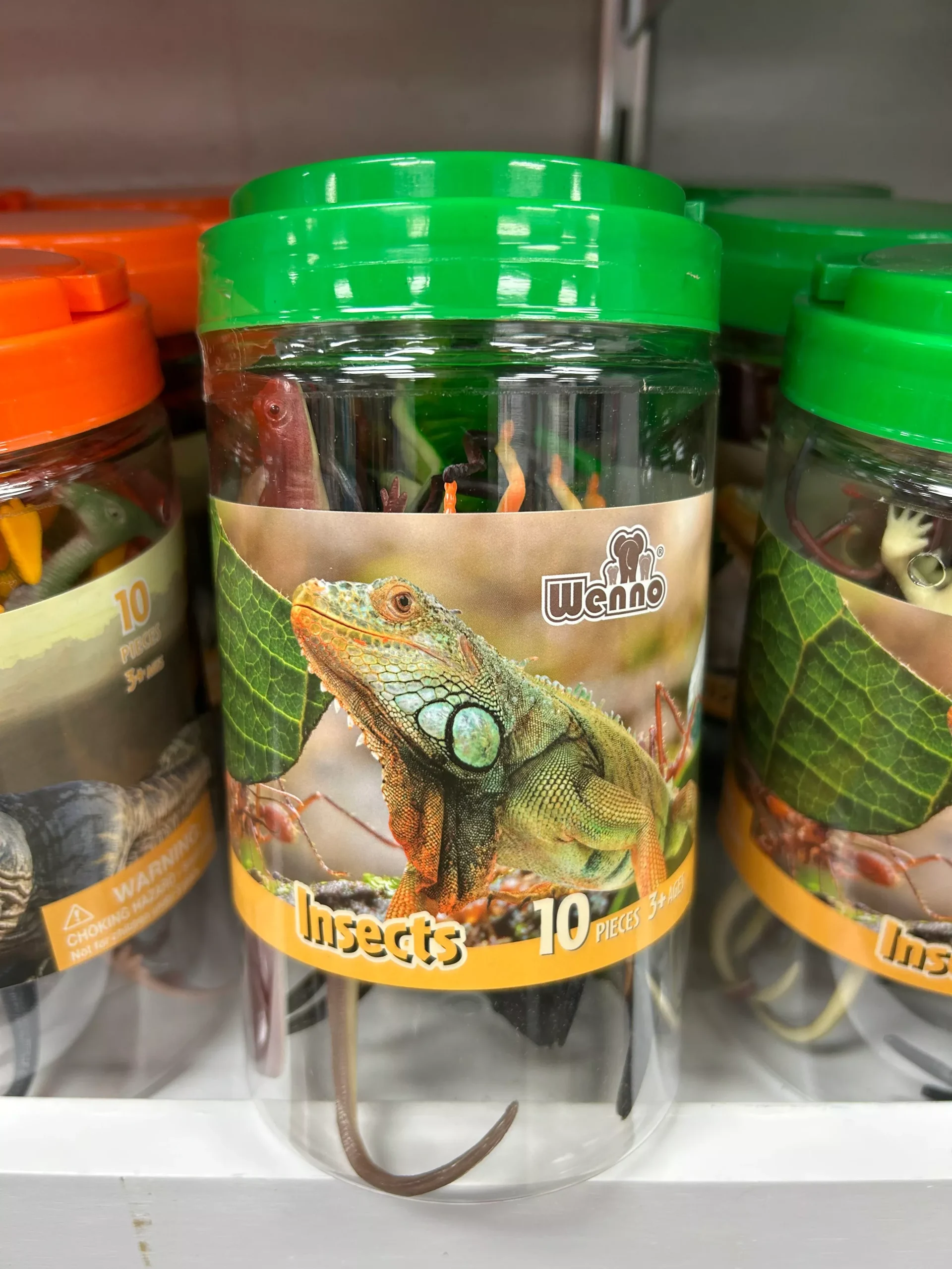 10Pc Insect Playset