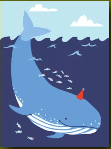 Baleen Birthday Card