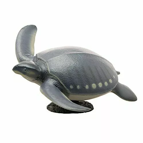 Febaritto 77619 Archelon Software Model Fp-005
