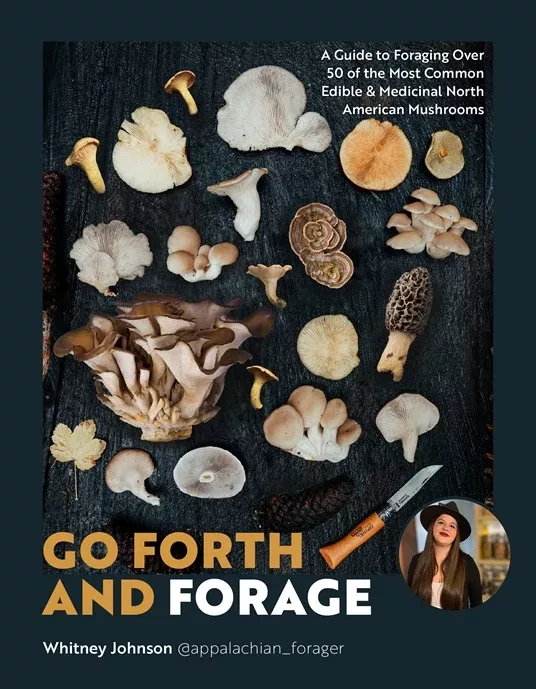 Go Forth And Forage Cookbook