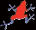 Poison Arrow Frog Pin