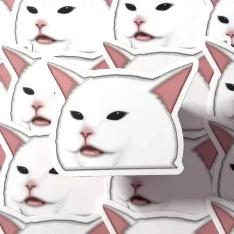 Salad Cat Meme Vinyl Sticker