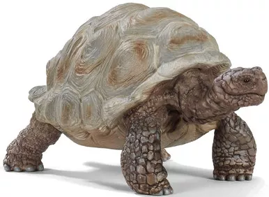 Tortoise - Giant (Schleich)