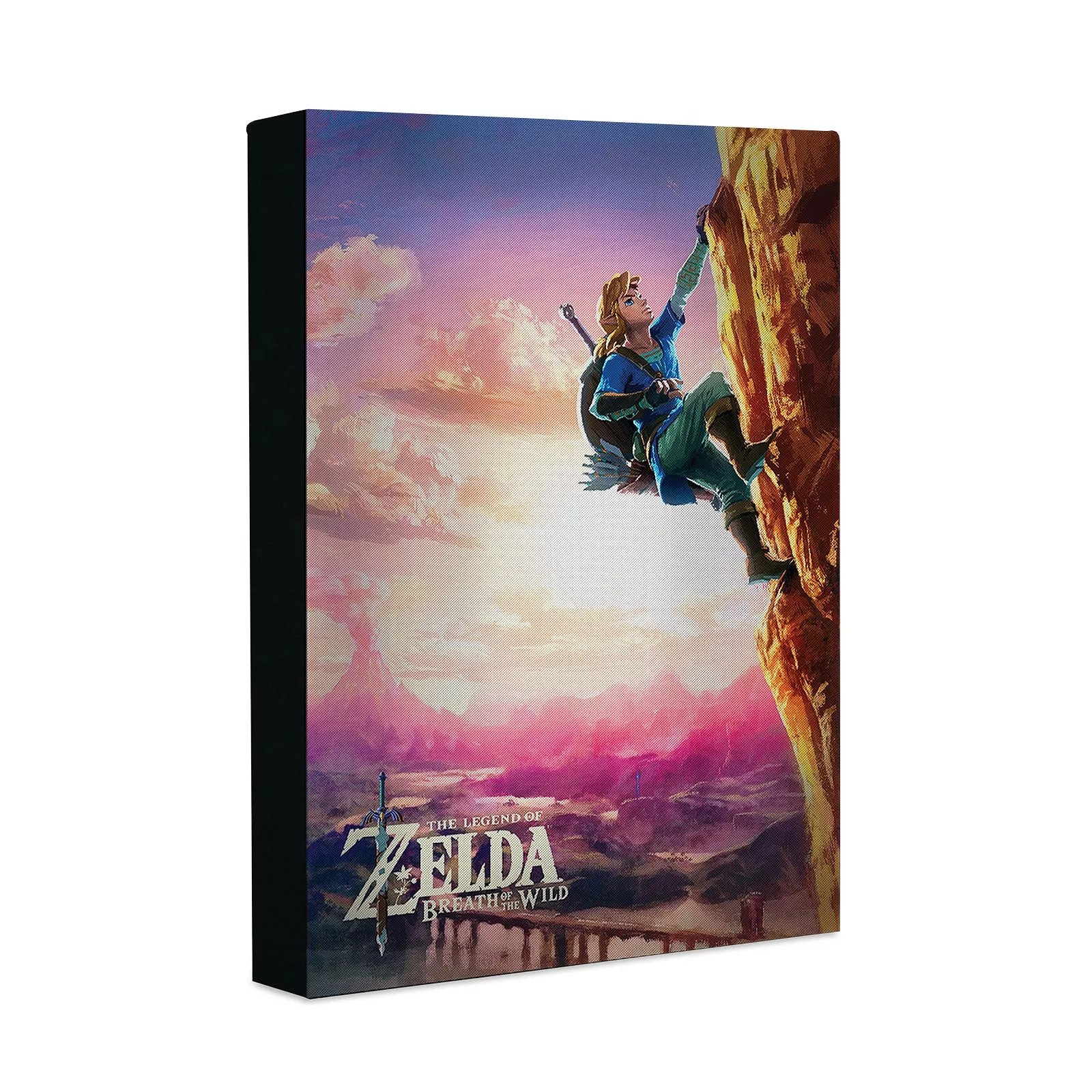 Zelda - Link mural with light